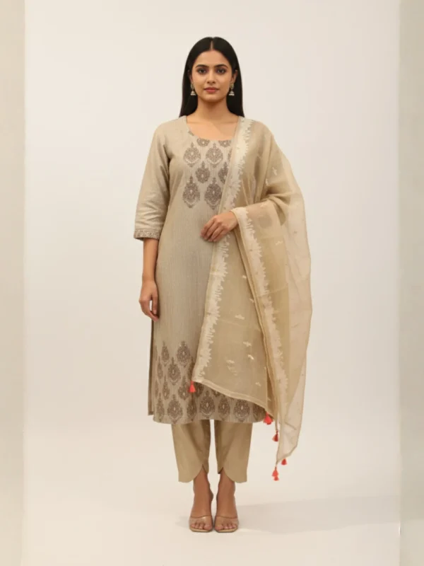Moonlit Grace – Dusty Grey Printed & Highlighted Chanderi Suit