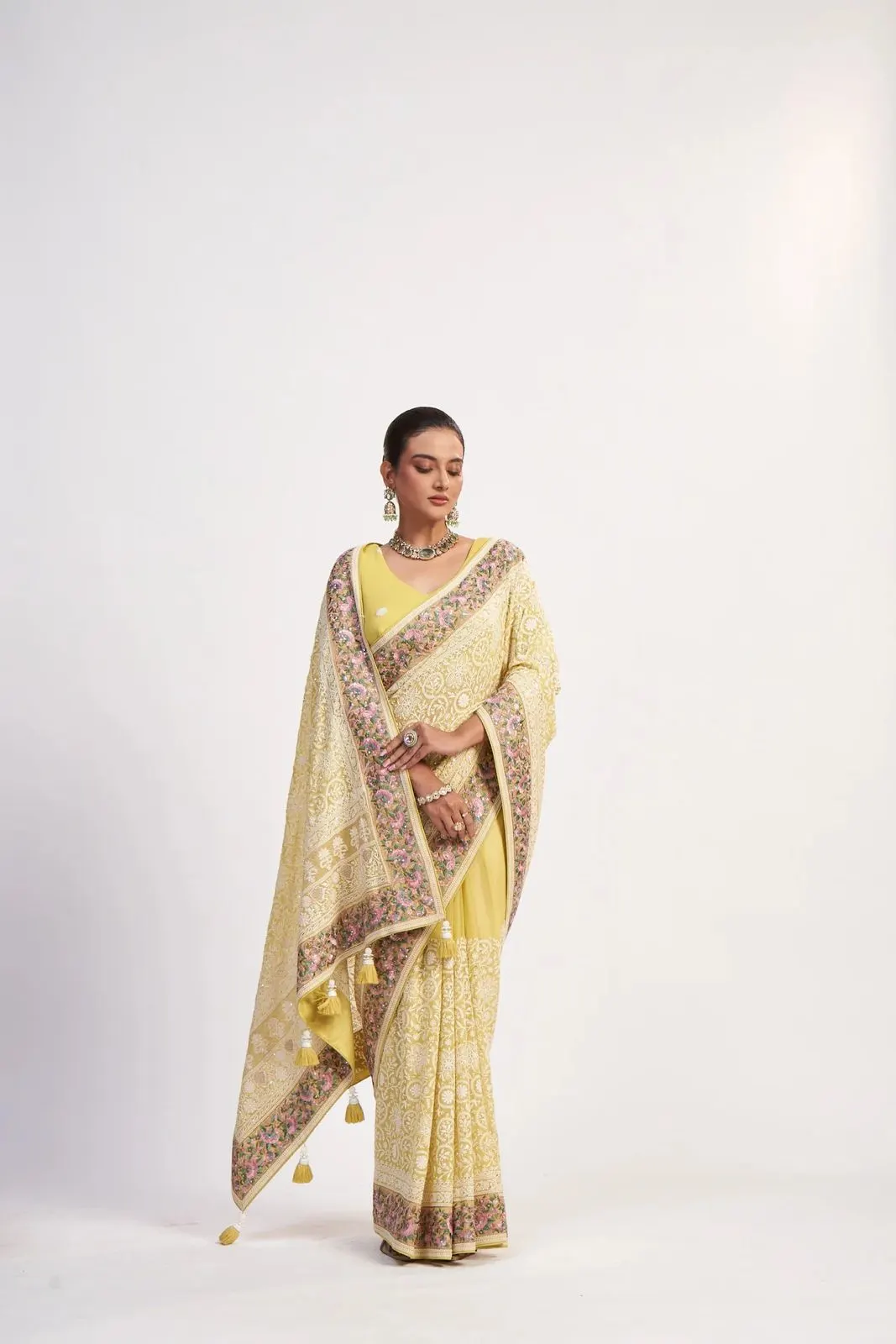 chinon-lucknowi-embroidery-parsi-border-saree